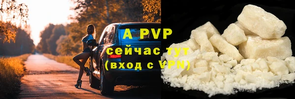 винт Аркадак