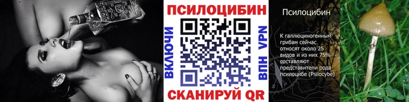 ссылка на мегу ONION  Краснознаменск  Галлюциногенные грибы Cubensis 