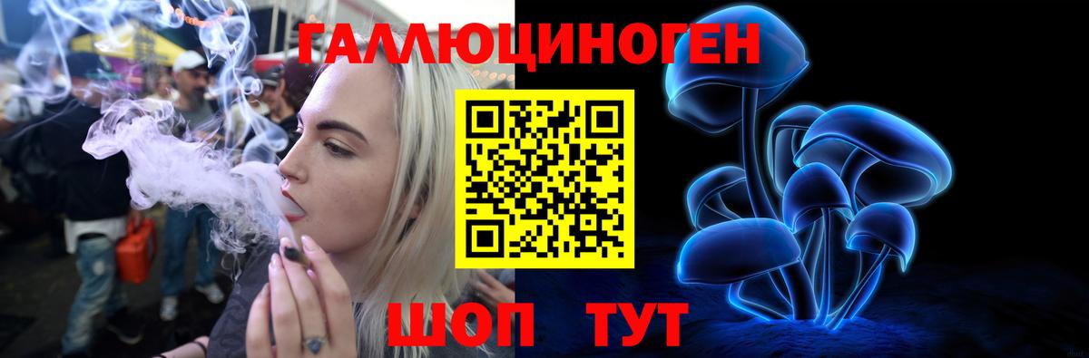 МЕФ Краснознаменск