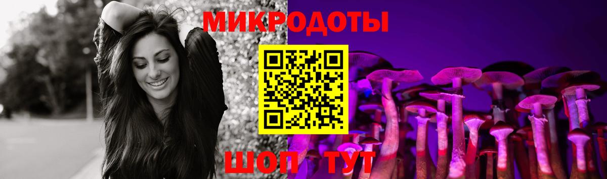 Галлюциногенные грибы Psilocybine cubensis  Вход с VPN  Краснознаменск  Псилоцибиновые грибы Magic Shrooms 